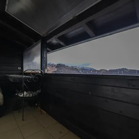 Jollykop コパオニク