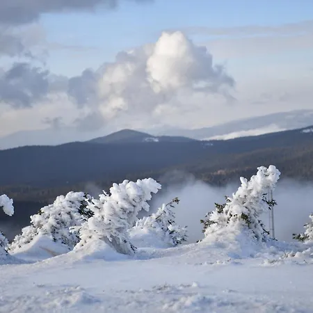 Jollykop Kopaonik