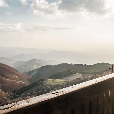 Jollykop アパート コパオニク